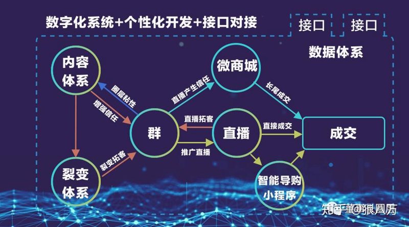 私域流量系统的开发应用与行业趋势