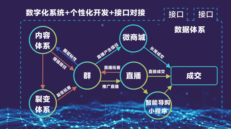 SCRM定制开发：企业在数字化时代的升级秘籍